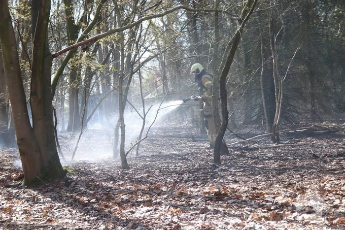 Brand in groot stuk bossage