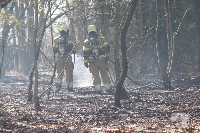 Brand in groot stuk bossage