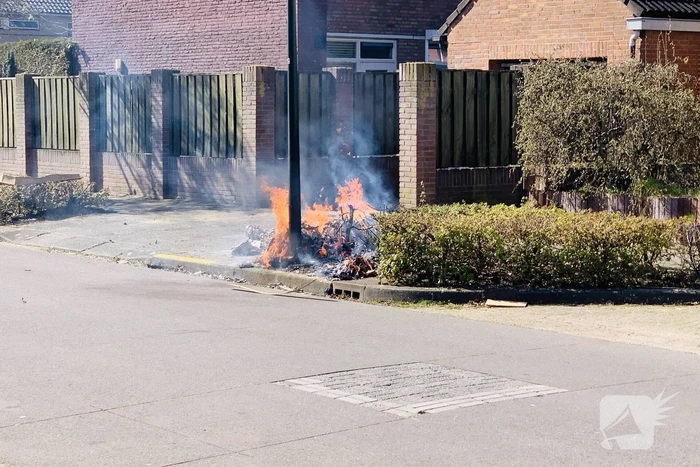 Dozen en struikgewas in brand gevlogen