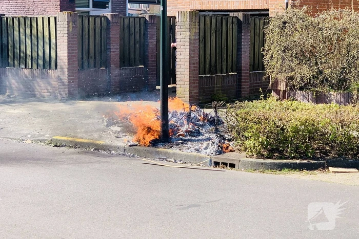 Dozen en struikgewas in brand gevlogen