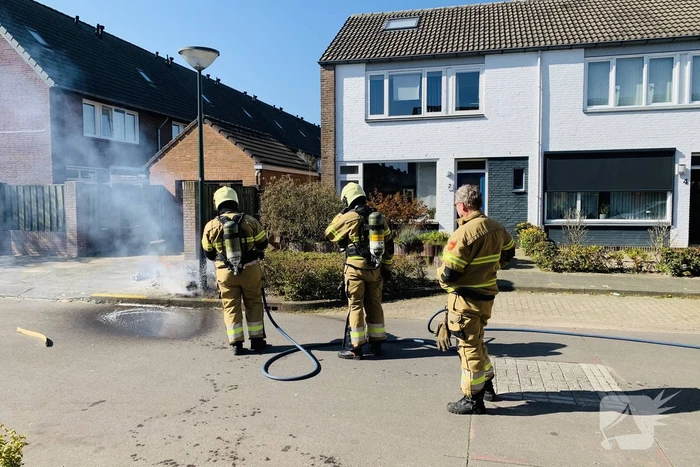 Dozen en struikgewas in brand gevlogen