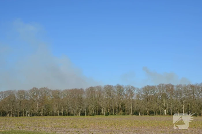 Groot stuk natuur in brand