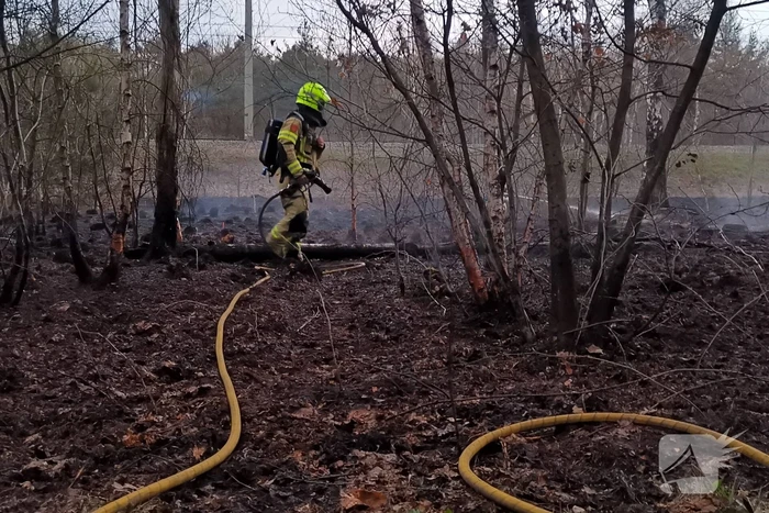 Groot stuk bosschage langs spoor in brand