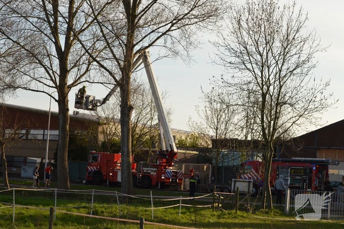 Brandje in opslagloods