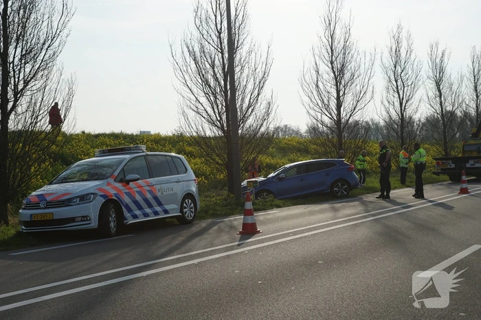 Auto raakt van de weg en botst tegen boom