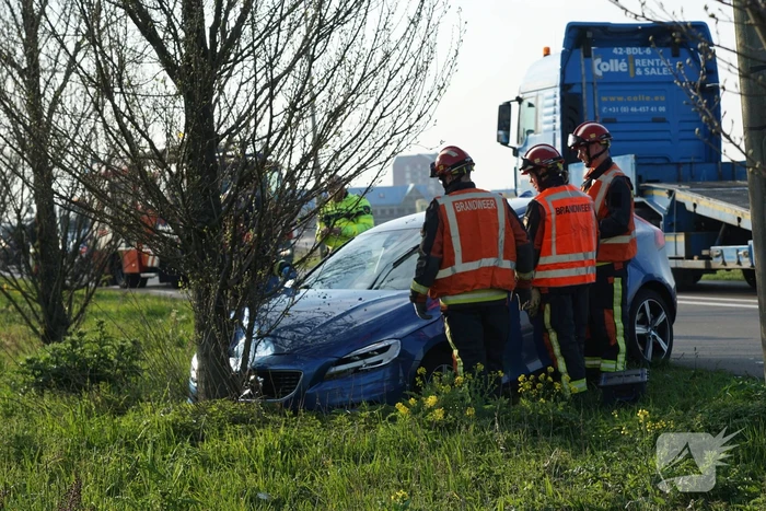 Auto raakt van de weg en botst tegen boom