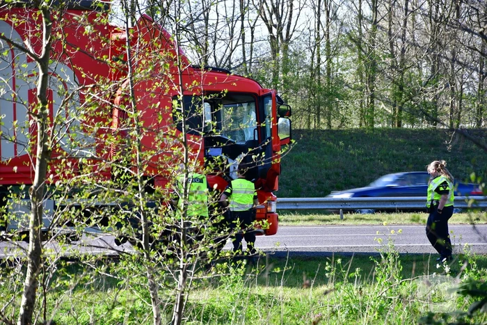 Zwaan vliegt dwars door voorruit vrachtwagen
