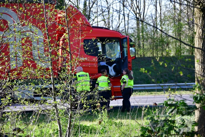Zwaan vliegt dwars door voorruit vrachtwagen