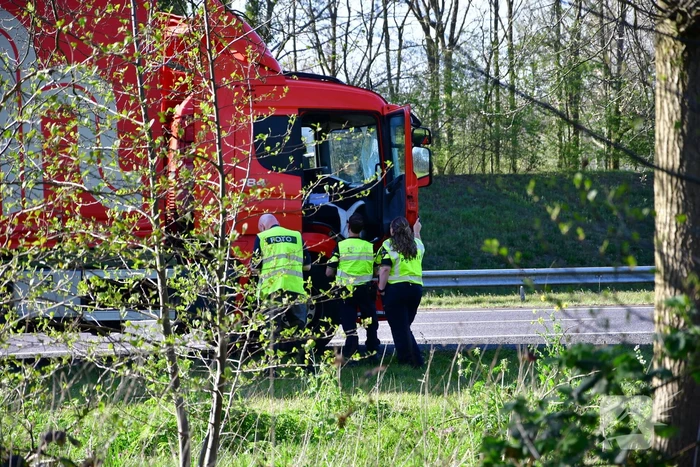 Zwaan vliegt dwars door voorruit vrachtwagen