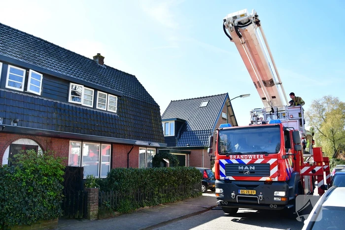 Spreeuw vast onder dakpannen