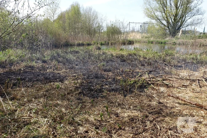 Stuk grasveld vat vlam