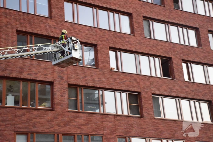 Kat ligt te chillen en loopt naar binnen bij aankomst van de brandweer