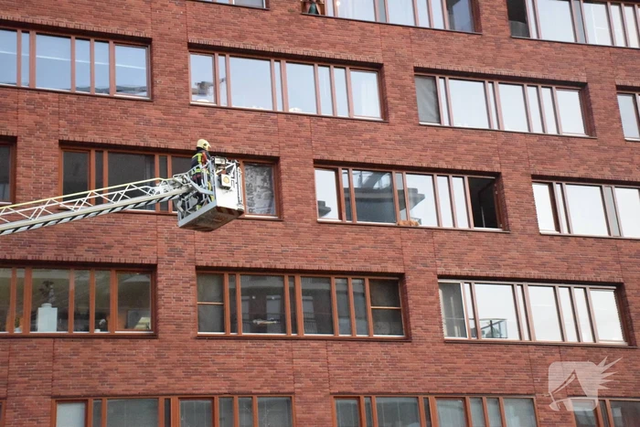 Kat ligt te chillen en loopt naar binnen bij aankomst van de brandweer
