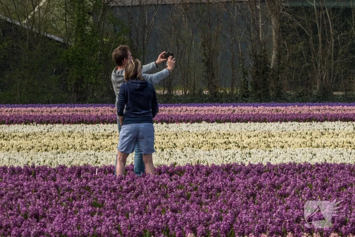 nieuws kanaalweg heiloo