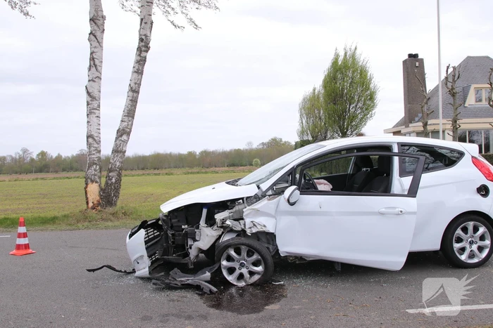 Automobilist botst tegen boom