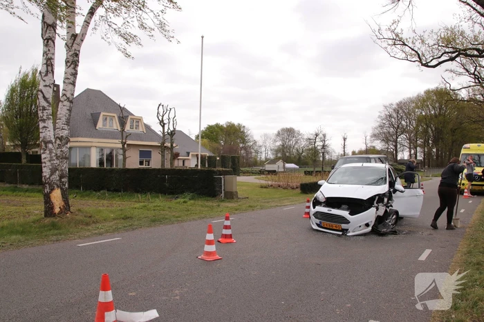Automobilist botst tegen boom