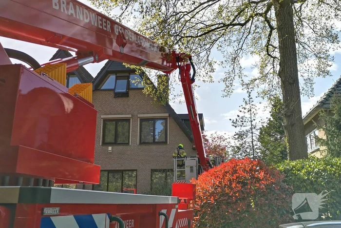 Containerbrand slaat over naar dak