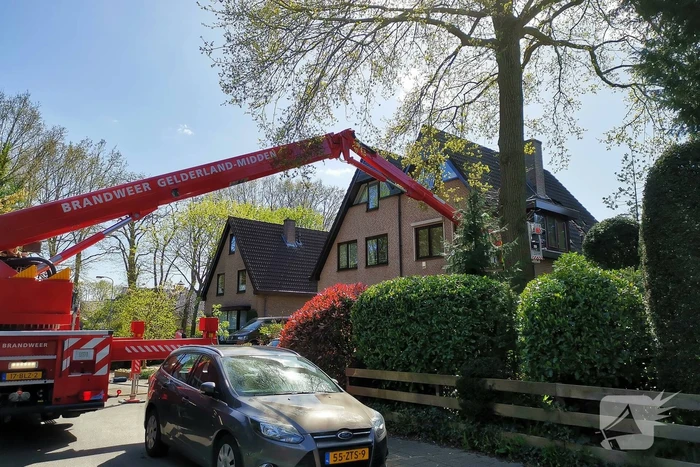 Containerbrand slaat over naar dak