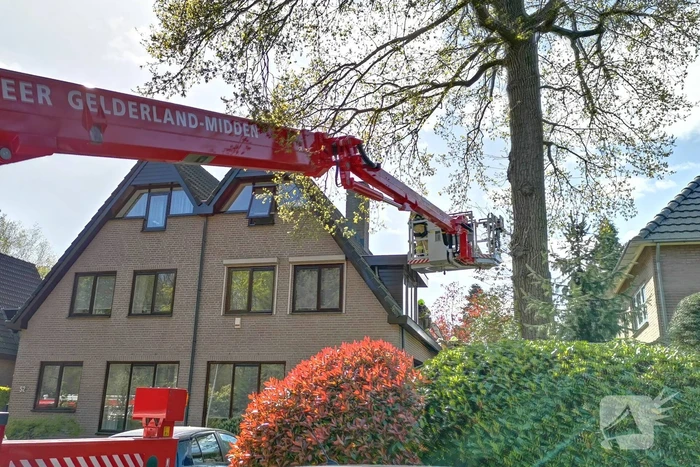 Containerbrand slaat over naar dak