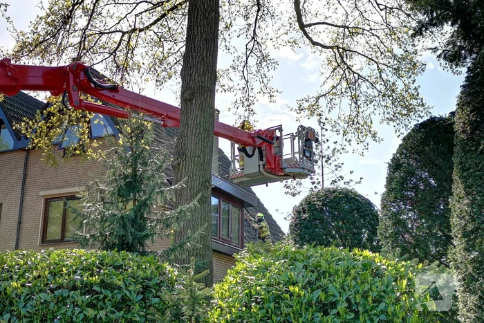Containerbrand slaat over naar dak