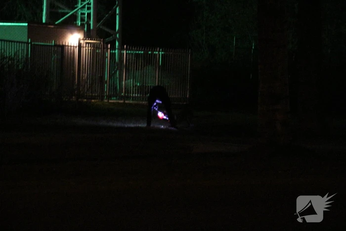 5G zendmast in brand gestoken