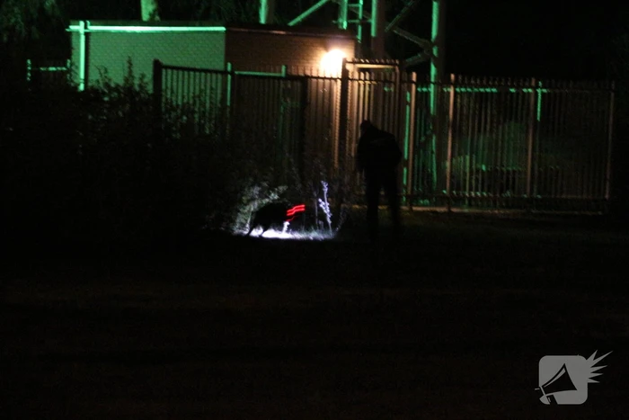 5G zendmast in brand gestoken