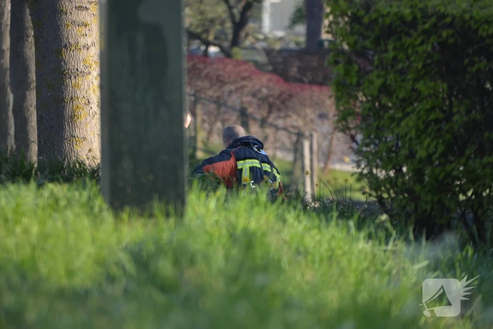 Automobiliste (54) komt om het leven bij ongeval