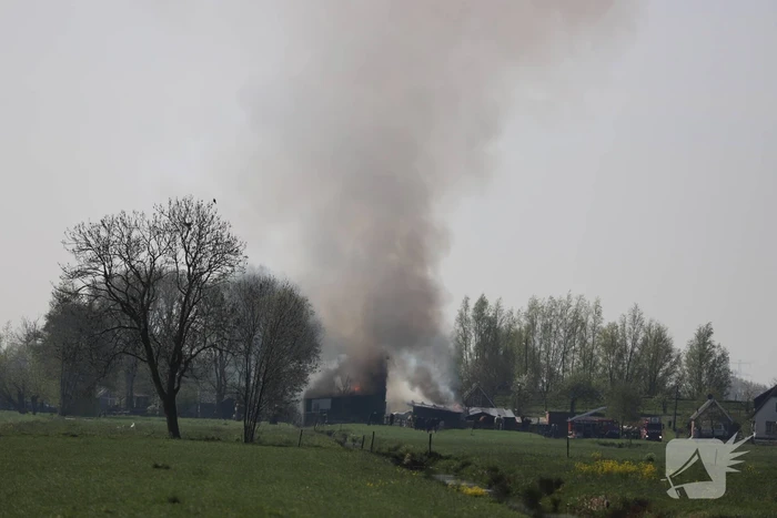 Grote brand in paardenstal