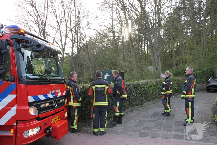 Brand in bos vermoedelijk aangestoken