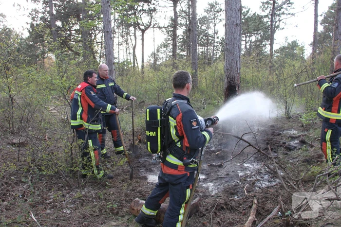 Brand in bos vermoedelijk aangestoken