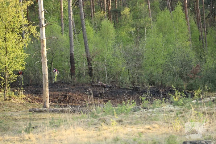 Wederom brand op de Brunssummerheide