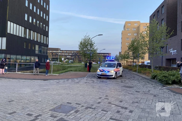 Lasershow voor zorgmedewerkers