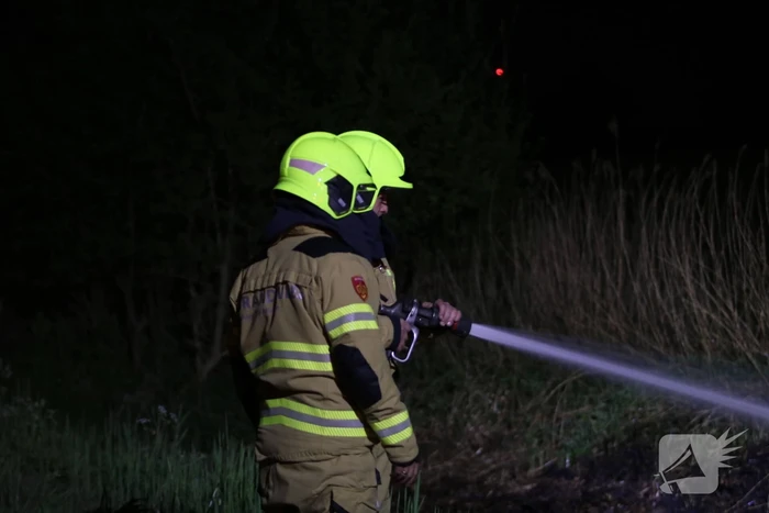 Rietkraag langs het spoor in brand