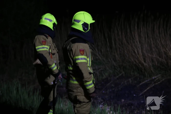 Rietkraag langs het spoor in brand