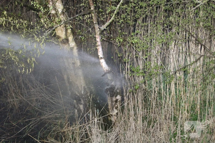 Rietkraag langs het spoor in brand