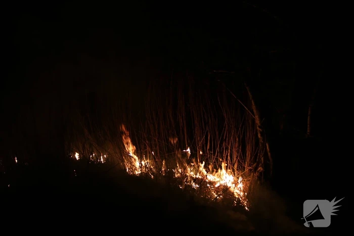 Rietkraag langs het spoor in brand