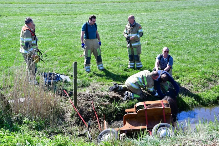 Brandweer redt pony met kar uit sloot