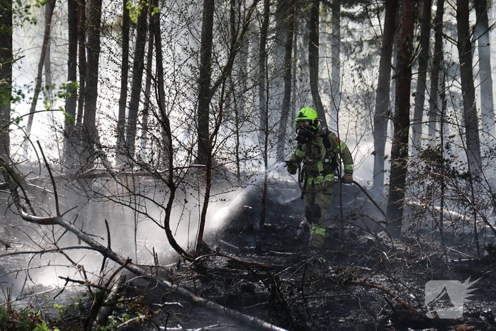 Stuk bosgebied afgebrand