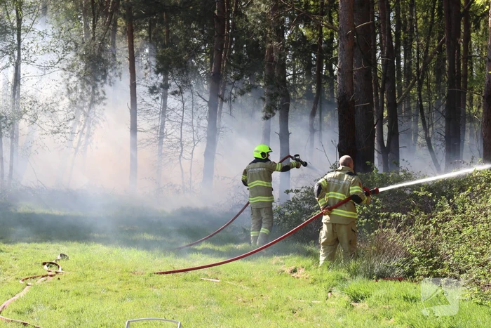Stuk bosgebied afgebrand