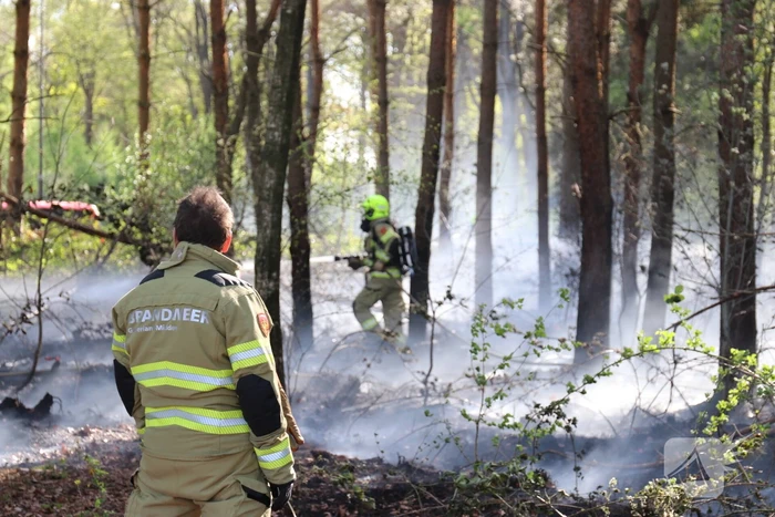 Stuk bosgebied afgebrand