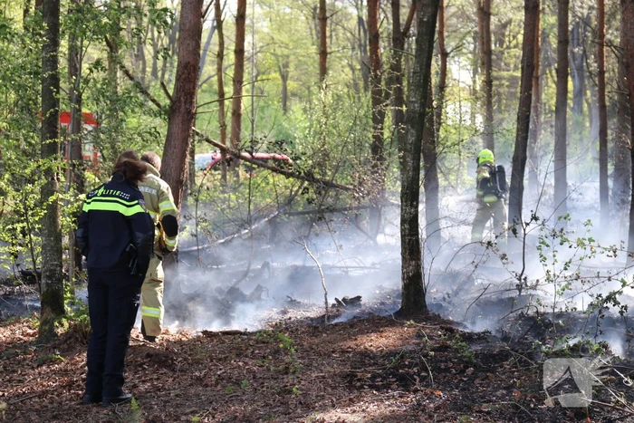 Stuk bosgebied afgebrand