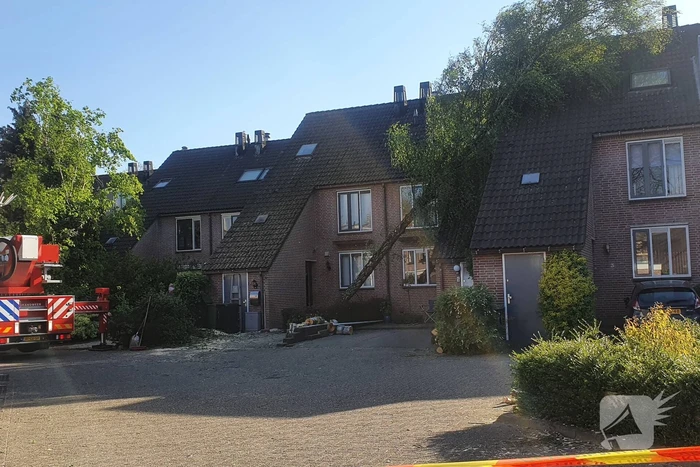 Boom omgevallen op woning
