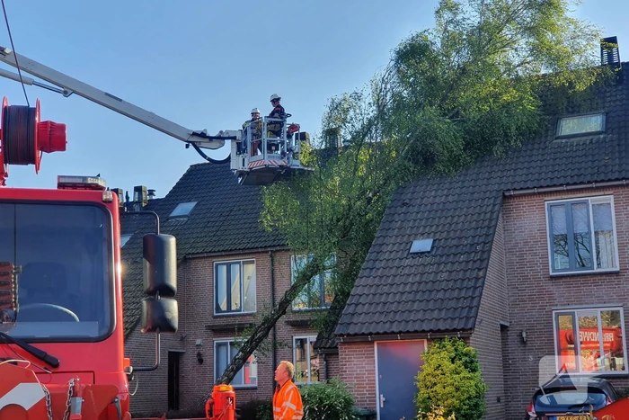 Boom omgevallen op woning