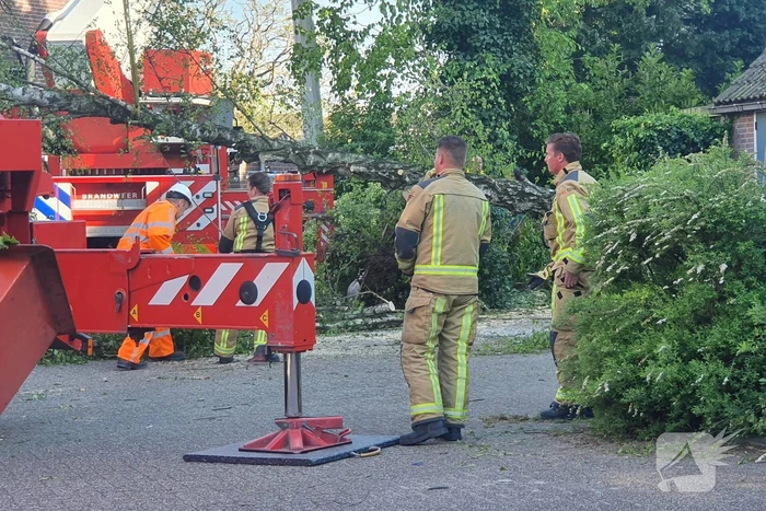 Boom omgevallen op woning