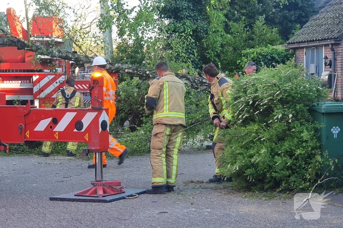 Boom omgevallen op woning