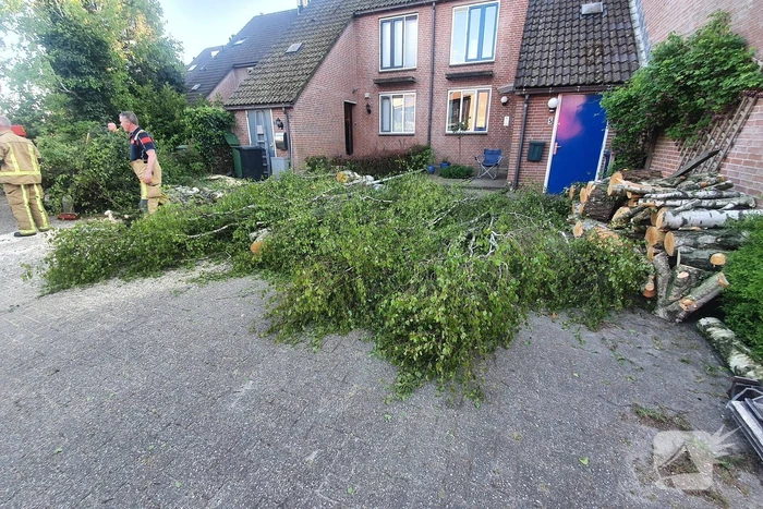 Boom omgevallen op woning