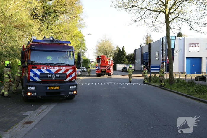 Brandweer trekt takken van boom af