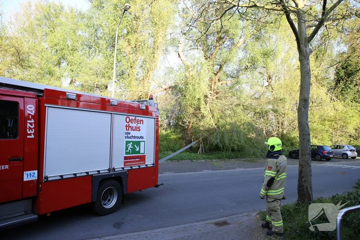 Brandweer trekt takken van boom af