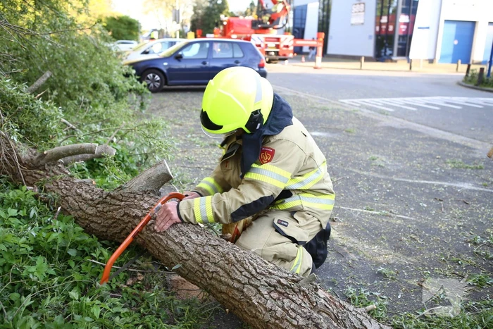 Brandweer trekt takken van boom af