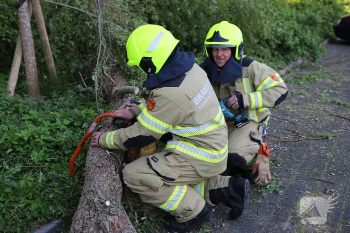 Brandweer trekt takken van boom af